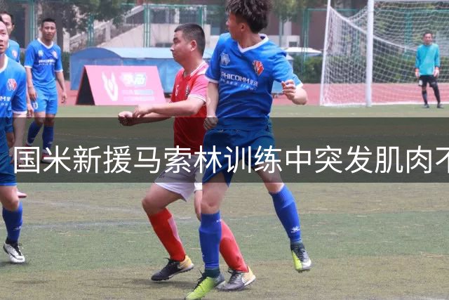国米新援马索林训练中突发肌肉不适 医疗组启动保护性预案